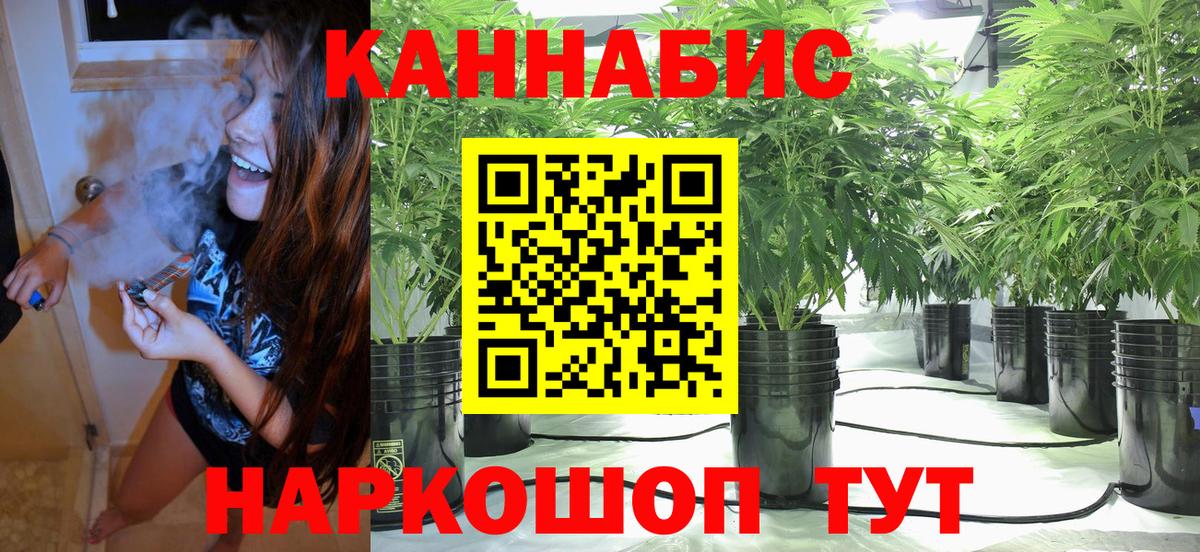 Бошки марихуана LSD WEED  Вход с VPN  Кстово  Каннабис VHQ  Марихуана THC 21% 